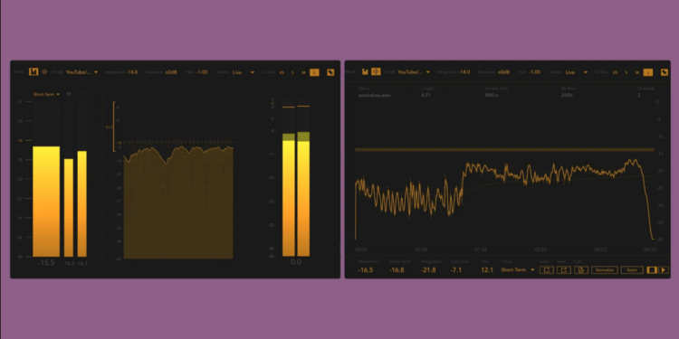 Flufs metering running in real-time in two display modes, one with vertical meters and histogram, one with a spectral view, gold on black background.