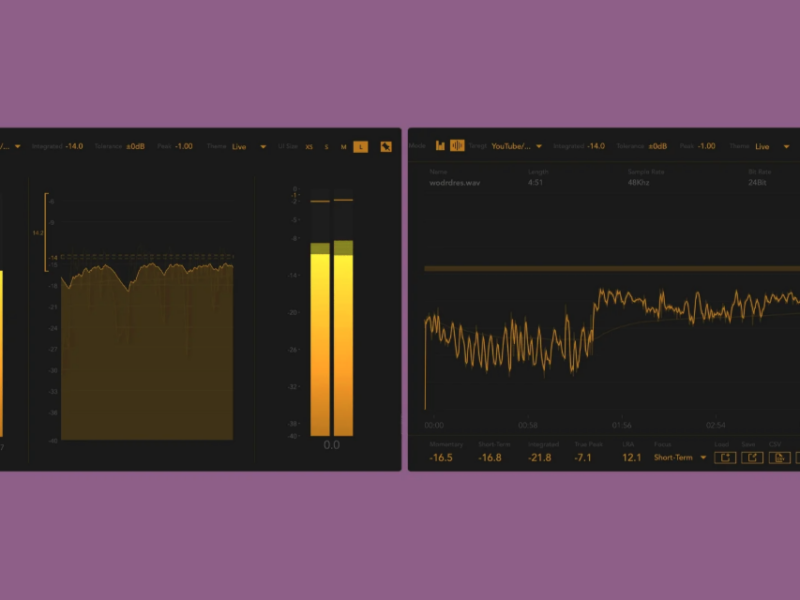 Flufs metering running in real-time in two display modes, one with vertical meters and histogram, one with a spectral view, gold on black background.