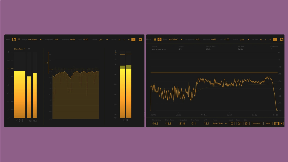 Flufs metering running in real-time in two display modes, one with vertical meters and histogram, one with a spectral view, gold on black background.
